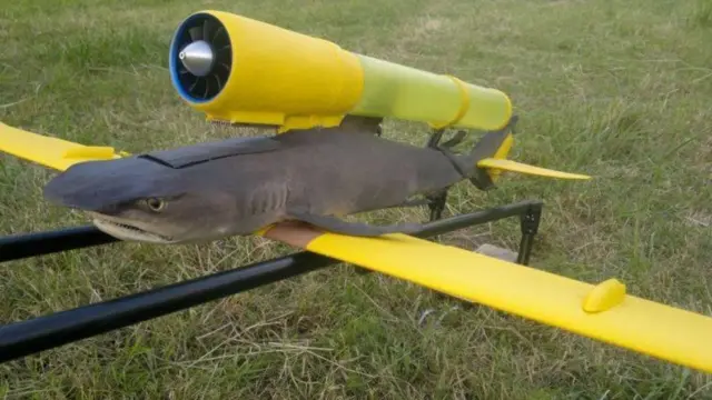 Tubarão com turbina