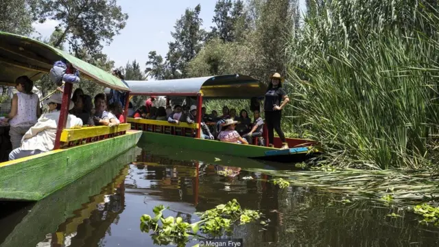 Traineiras coloridas no canalpix bet pngXochimilco