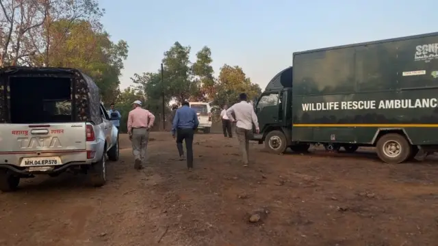 बिबट्या, निसर्ग, पर्यावरण, बदलापूर