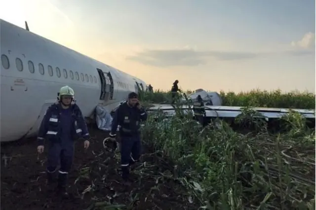 మొక్కజొన్న తోటలో క్రాష్ లాండ్ అయిన విమానం
