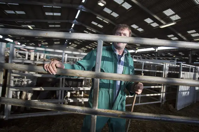 سوق الماشية