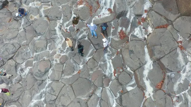 டைனோசர்கள் உட்பட அழிந்துபோன பல உயிரினங்களின் புதைபடிவங்கள் நர்மதா பள்ளத்தாக்கின் ஆயிரம் கிலோமீட்டர் சுற்றளவில் பரவியுள்ளன.