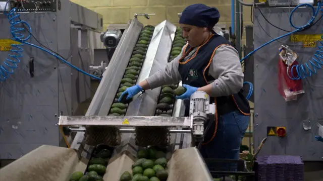 Mulher trabalhando em uma máquina de abacates