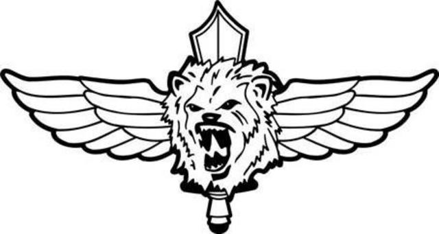 شعار كتيبة نيتسح يهودا