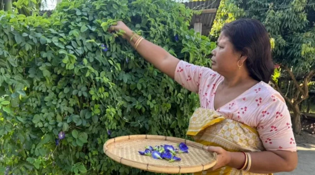 دو سال قبل جب نیلم کو علم ہوا کہ مقامی خواتین یہ پھول بیچ کر پیسہ کما رہی ہیں تو وہ بہت حیران ہوئیں