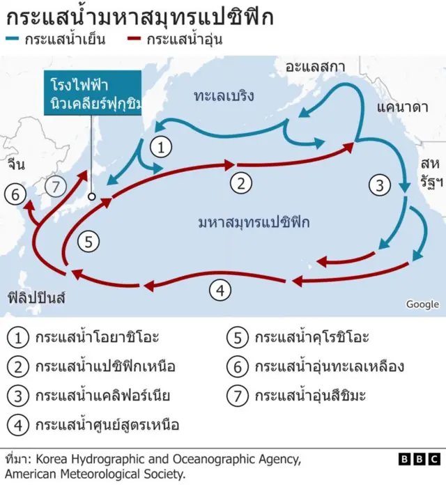 กราฟิกกระแสน้ำในมหาสมุทรแปซิฟิก