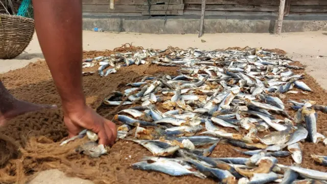 බත්තලංගුණ්ඩුව දුපත මුලින් හඳුන්වා ඇත්තේ වහල් දුපත නමිනි. ඊට හේතුව මීට වසර සියයකට එපිටින් මේ දුපතේ පැවති තත්ත්වයයි.