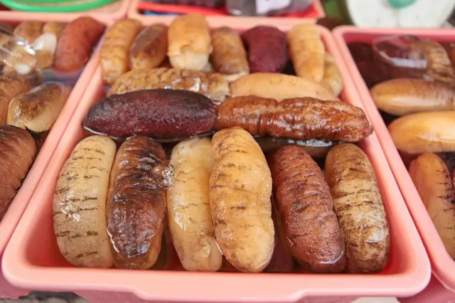 సీ కుకుంబర్