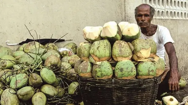 தேங்காய்க்குள் நீர் எப்படி வந்தது?