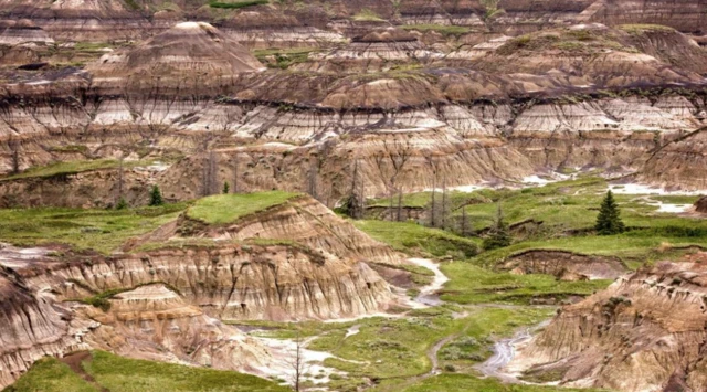 พื้นที่ Badlands ของแคนาดามีตะกอนทรายและโคลนอยู่มาก ทำให้ซากกระดูกไดโนเสาร์ฝังจมลงเร็วจนกลายเป็นฟอสซิล