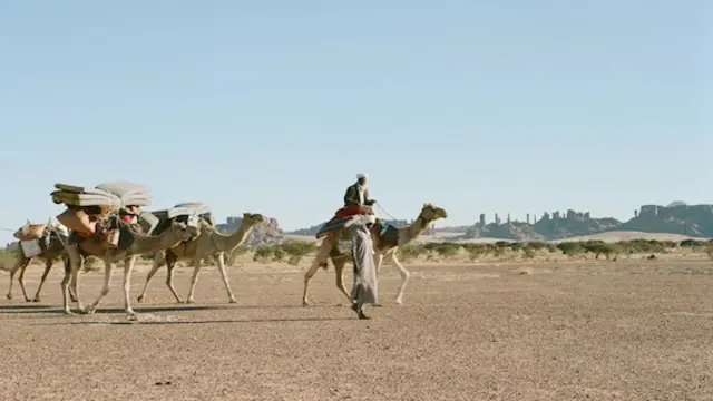 une longue caravane de chameaux à travers le désert du Sahara