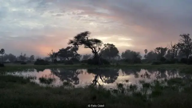 Penulis Marcia DeSanctis berada dalam penugasan di Botswana ketika dia mendapat kabar buruk dari rumah