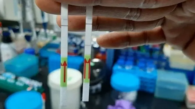 कोरोना, म्युटेशन, शास्त्र