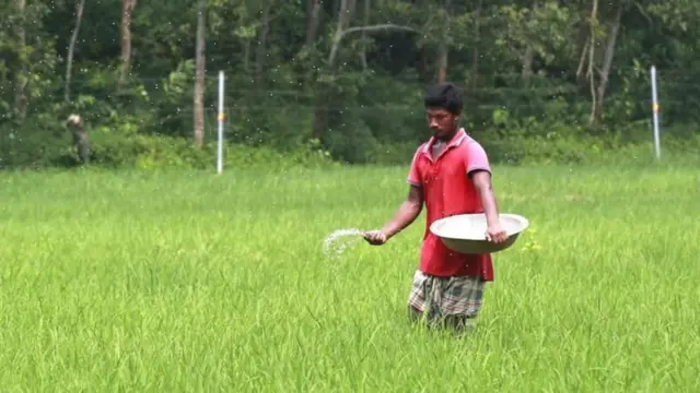 কৃষক