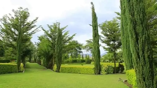 በኮምቦልቻ ከተማ የሚገኘው ሰናይት መናፈሻ