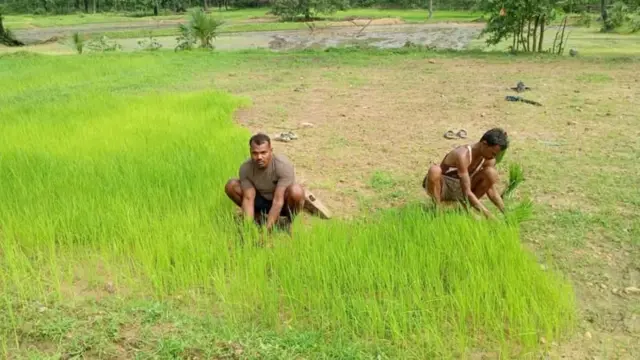 બીબીસી ગુજરાતી