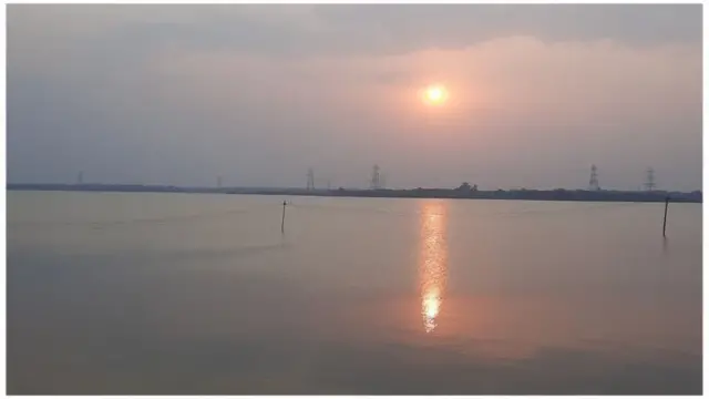 జీవో నం.111