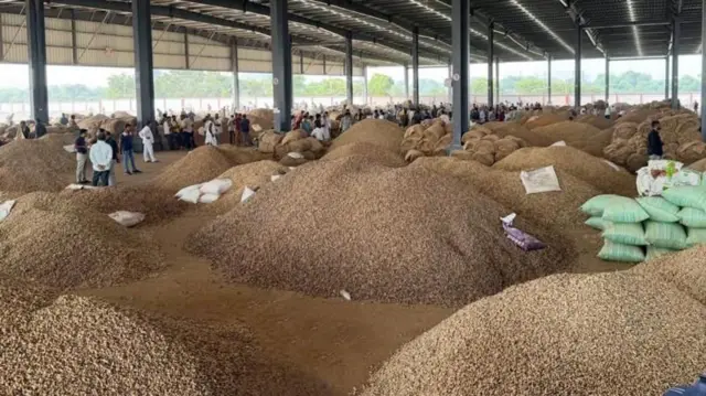 ਮੂੰਗਫਲੀ