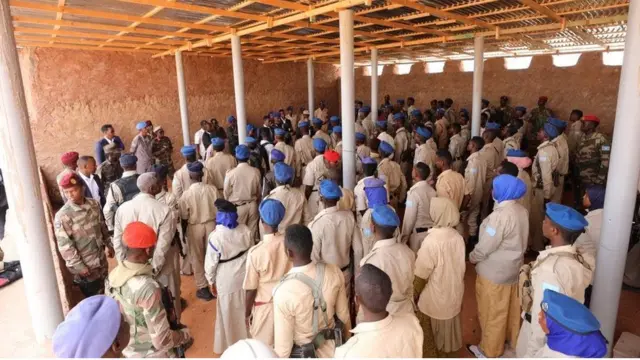 Ciidamada Soomaaliya