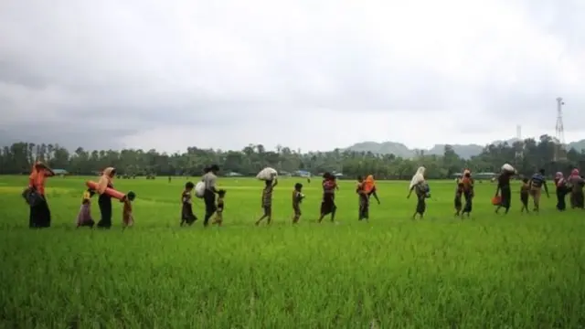 rohingya
