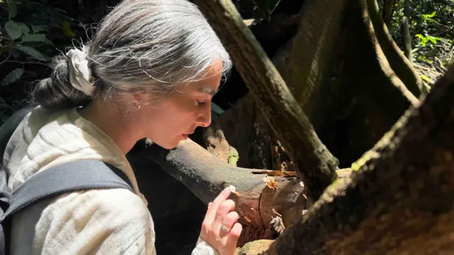 Jaringan mikoriza berada di bawah tanah dan tak kasat mata.