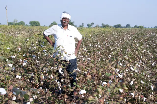 प्रातिनिधिक फोटो