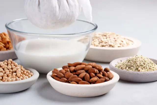 ਵੱਖ-ਵੱਖ ਤਰ੍ਹਾਂ ਦੀਆਂ ਗਿਰੀਆਂ ਬੀਜਾਂ ਤੋਂ ਹਾਸਲ ਦੁੱਧ