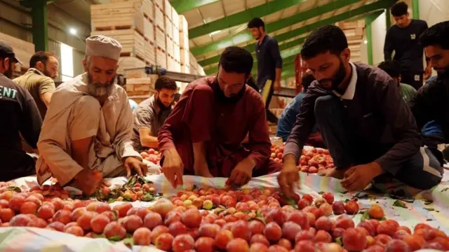 کشمیر 