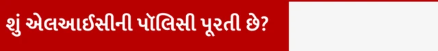 શું એલઆઈસીની પૉલિસી પૂરતી છે?