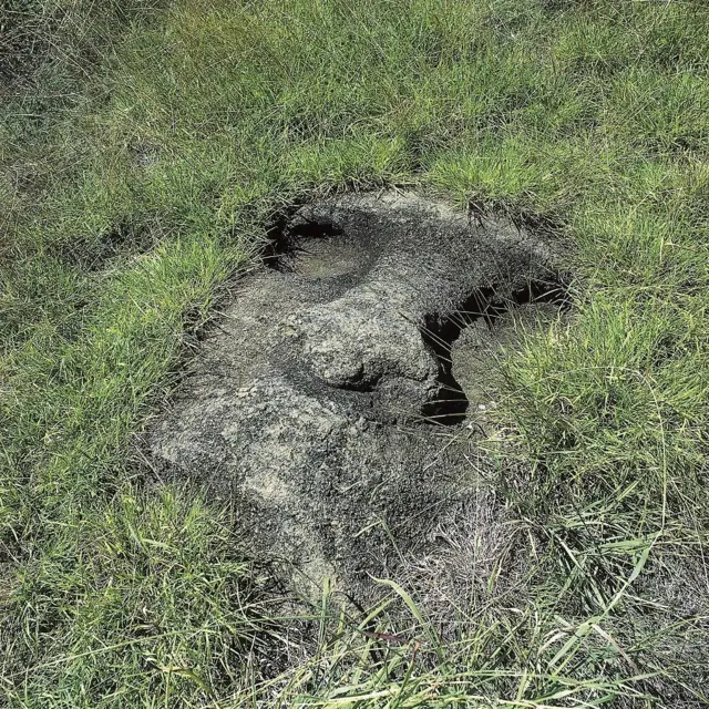 Sculpture de l'île de Pâques