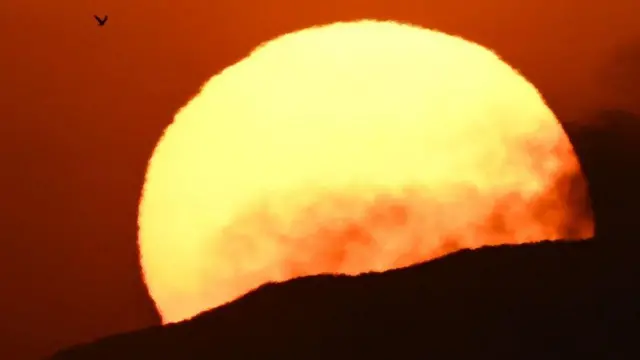 تابستان داغ اروپا