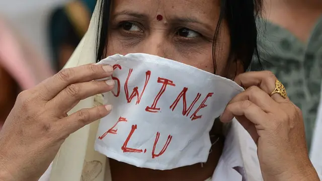 સ્વાઇન ફ્લૂ