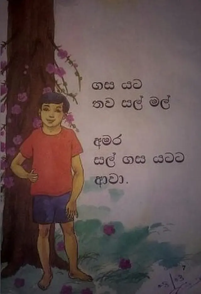 පළමු ශ්‍රේණිය සිංහල පෙළ පොතේ චිත්‍රයට නගා තිබූ කඳේ මල් හට ගන්නා 'කාලතුවක්කු උණ්ඩ ගස'
