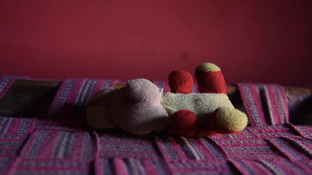 संजलि का घर