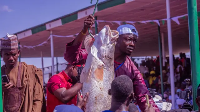 Kifin da aka kama ya yi zarra