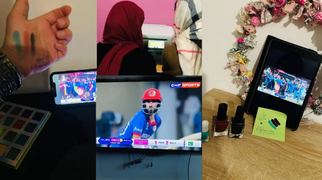 cricket 