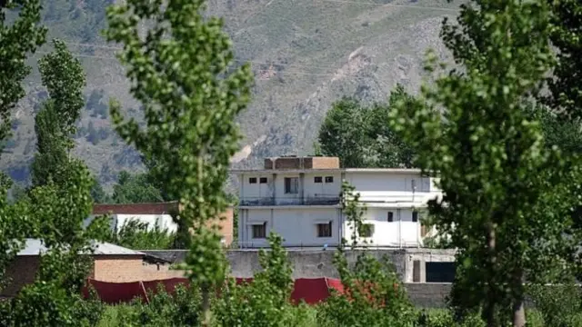 بن لادن کور