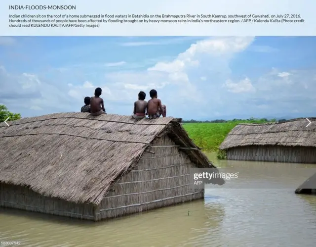 ગેટી વાઇરલ