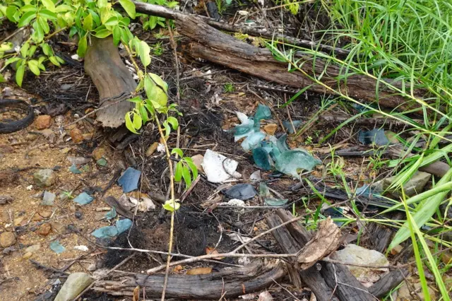 situs bongal kalteng