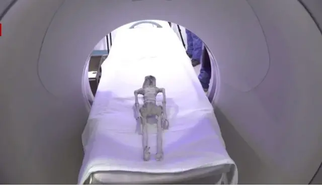 వైద్య పరీక్షలు