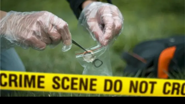 પ્રતીકાત્મક તસવીર