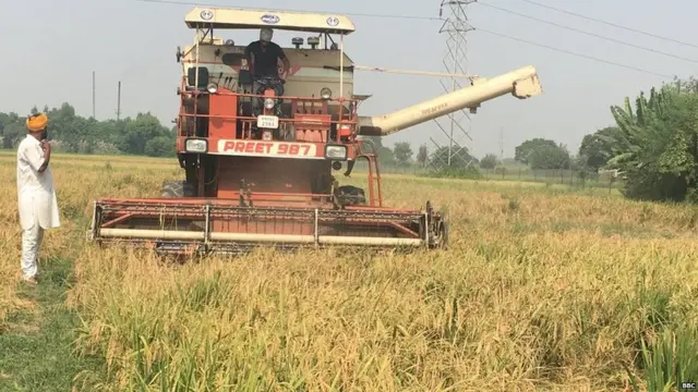 combine/rice