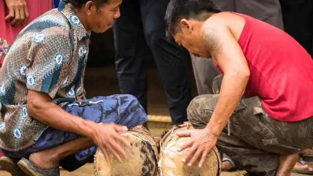 （图片来源：Vivien Cumming）