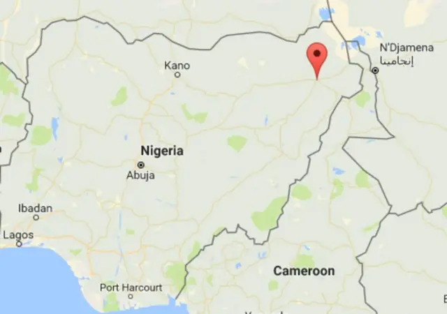 Mbwa amzuia mshambuliaji wa kujitoa mhanga Nigeria