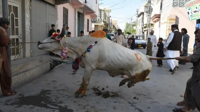 Musulmi maza sun taru domin layya da sa a yankin Karachi na Pakistan