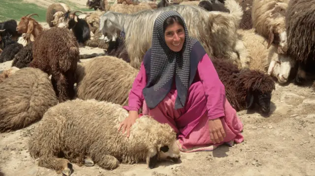 سيدة جالسة وبجوارها عدد من المواشي (الأغنام).