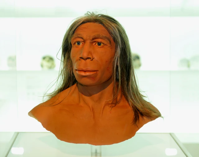 Reconstrucción del rostro de una neandertal con el cabello largo, liso y claro