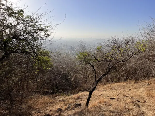 वेताळ टेकडी