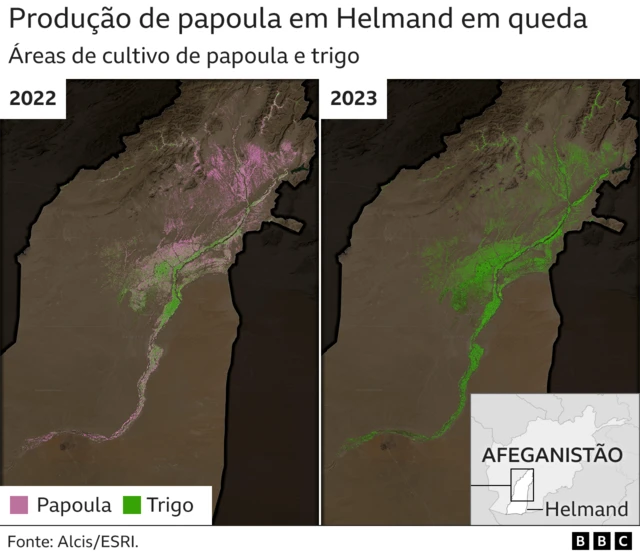 Imagens mostram queda da produçãobet365 brasileiraopapoulabet365 brasileiraoHelmand entre 2022 e 2023