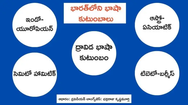 కర్ణాటక, తమిళనాడు, కమల్ హాసన్ థగ్ లైఫ్
